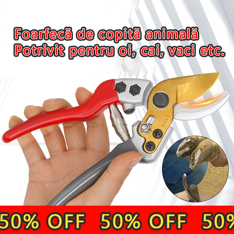 Kopyta owiec, kopyta krowy, nożyce do kopyt koni-3882924