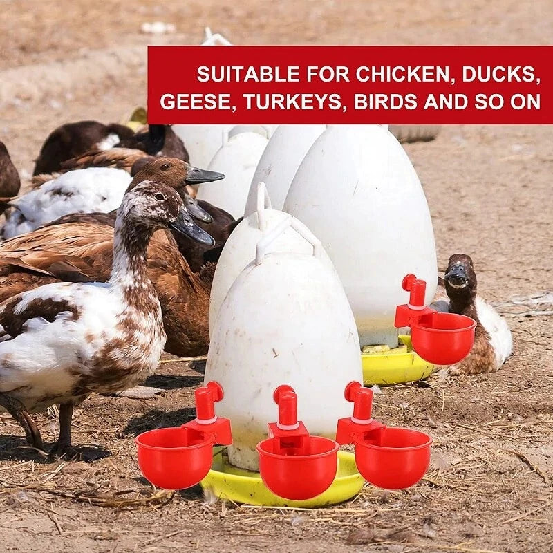 🐔【10 szt.】Automatyczna miska do pojenia drobiu-3876133