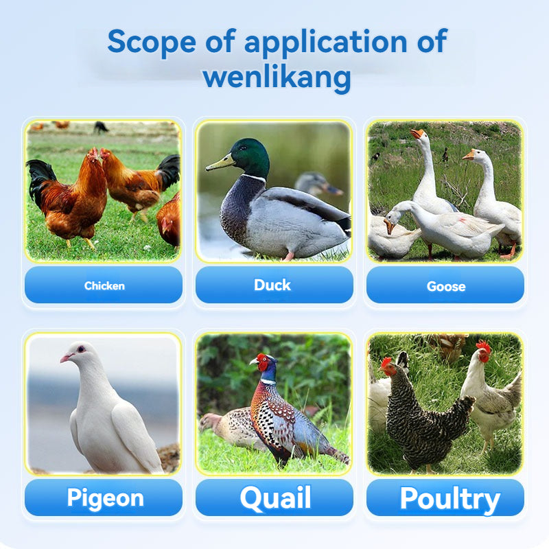 🐔🦆Ogólne leczenie kur, kaczek i gęsi chorych, stojących w miejscu, niejedzących, przeziębionych, chrapiących i cierpiących na biegunkę.-3896008