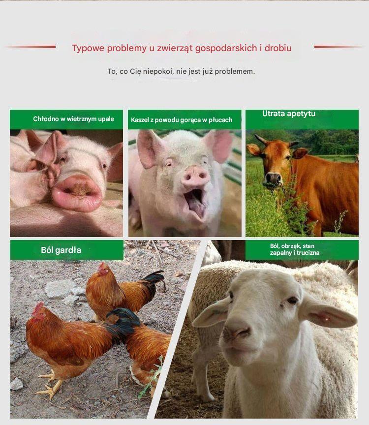 Jedna tabletka może wyleczyć chorobę. ✅Przeziębienia u kur, kaczek i gęsi ✅Chrapanie i kaszel ✅Antywirusy ✅Gorączka u kur ✅Stosowany u świń, bydła i owiec-3878865