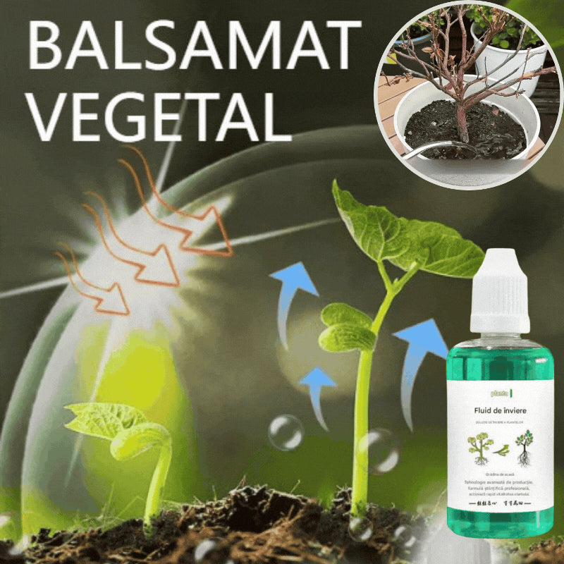 💥【Kup 3, otrzymaj 3 gratis】🌱🌱🌱 Roztwór odżywczy, który wspomaga wzrost roślin