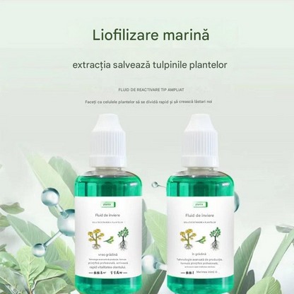 💥75%OFF💥【Kup 2 dostań 6】Płynny roztwór aktywujący rośliny i kwiaty-3847504
