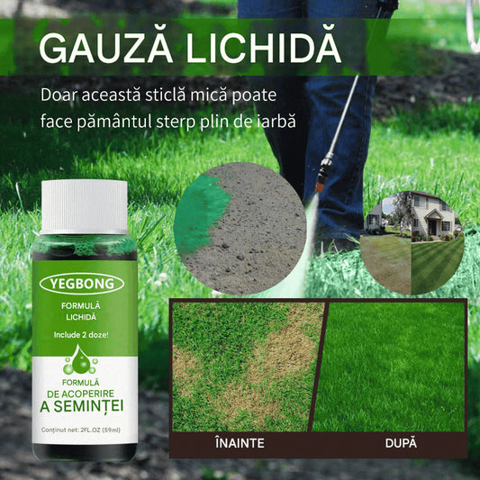 🌿🌿【Kup 3 dostań 3】Płynny środek do pielęgnacji trawników, płynna odżywka do sadzenia trawy