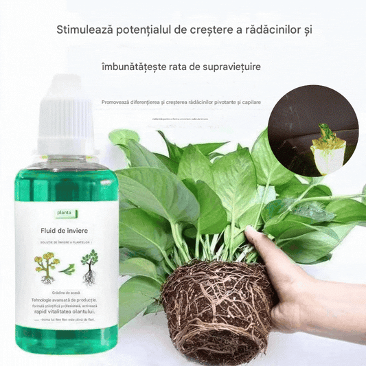 💥【Kup 3, otrzymaj 3 gratis】🌱🌱🌱 Roztwór odżywczy, który wspomaga wzrost roślin