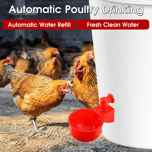 🐔【10 szt.】Automatyczna miska do pojenia drobiu-3876133