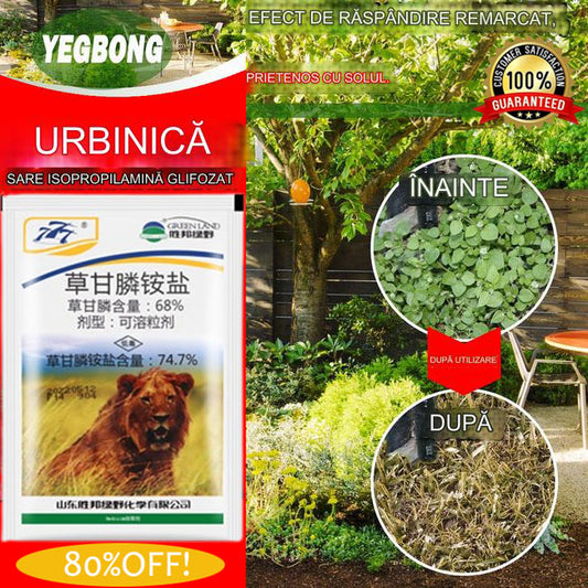 👍🌱【75%OFF！！！】🔥gratisSuchy glifosat fosforanu amonu zabija i zapobiega wszelkim rodzajom chwastów, pnączy i winorośli【Kup 1, a otrzymasz 1 】 -3887798