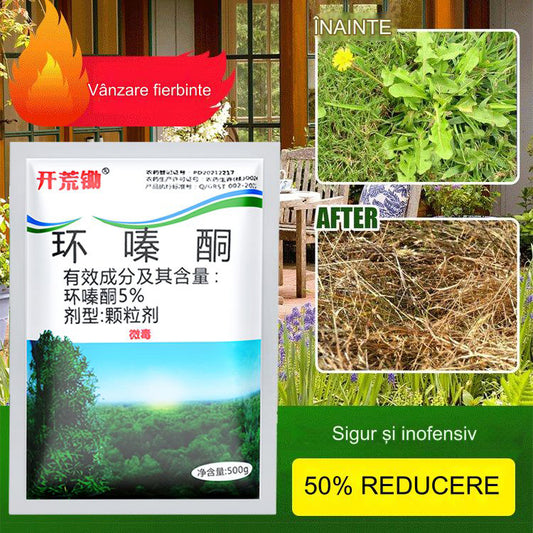 🔥【Vanzare fierbinte】👍🌱Erbicid ciclazinonă-3893329 